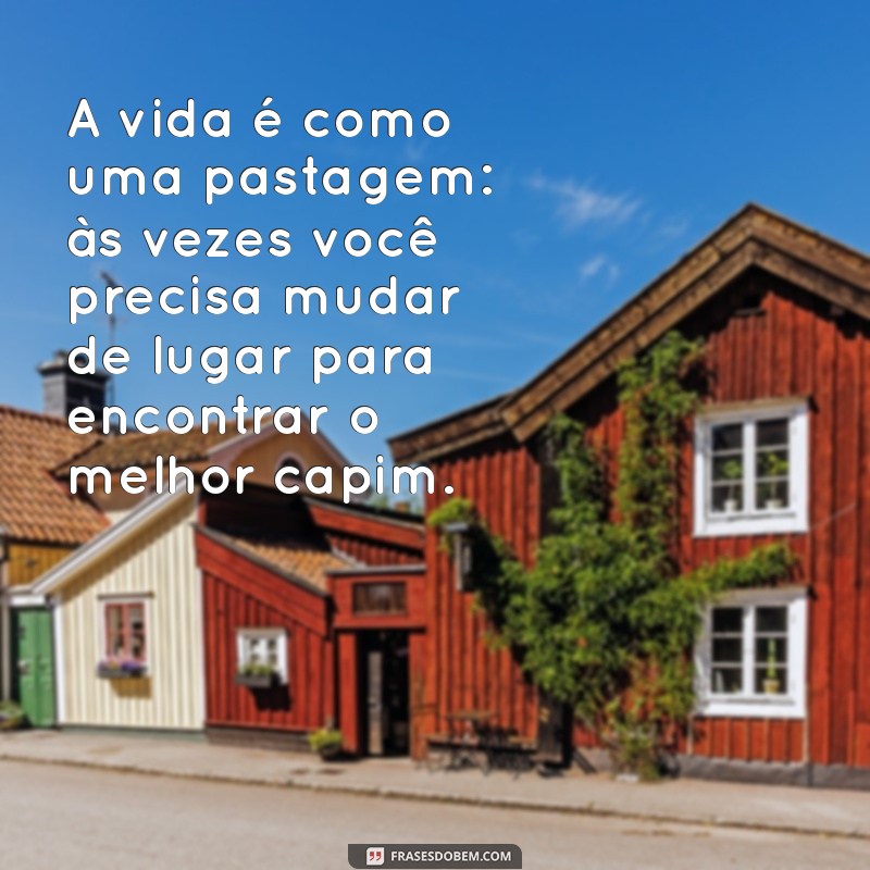 frases de vaca A vida é como uma pastagem: às vezes você precisa mudar de lugar para encontrar o melhor capim.