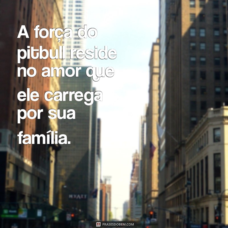 Descubra as Melhores Frases de Pitbull para Inspirar e Motivar 