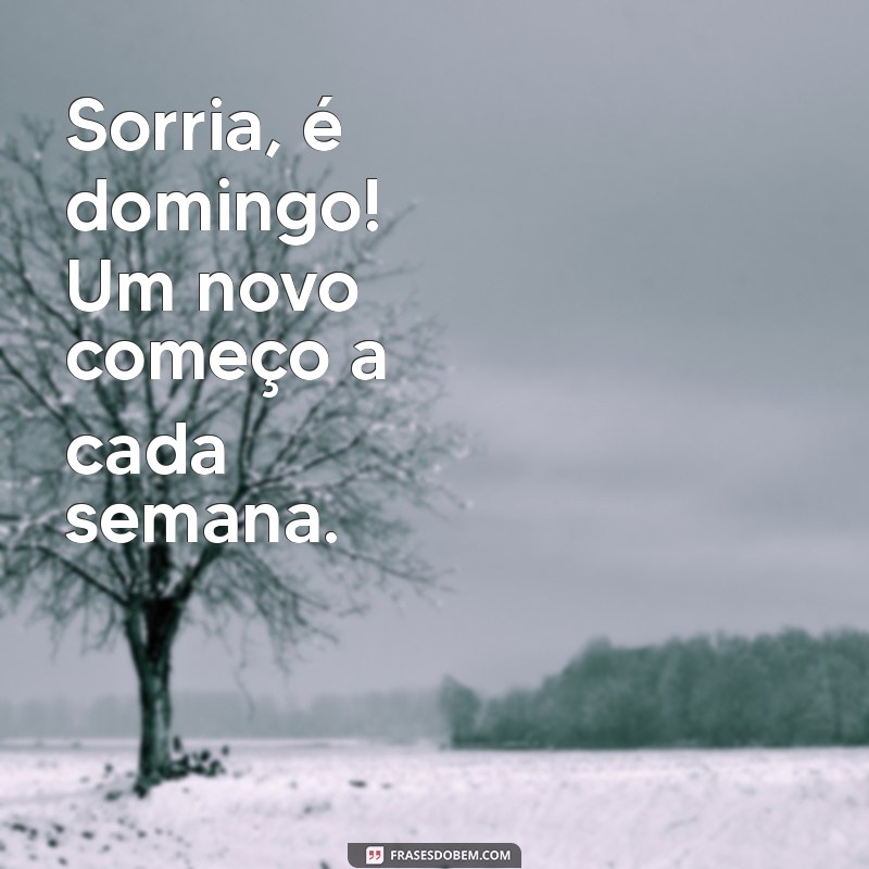 Frases Tumblr para Celebrar o Domingo: Inspirações para o Seu Dia 