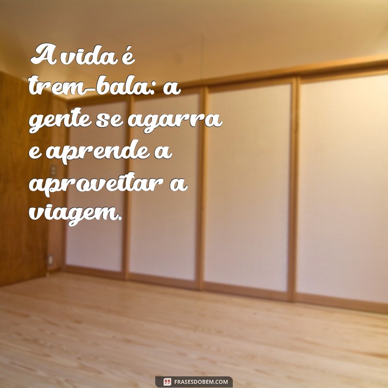 a vida é trem bala A vida é trem-bala: a gente se agarra e aprende a aproveitar a viagem.