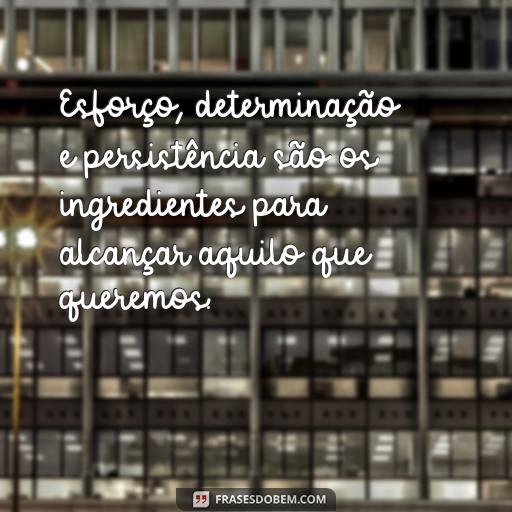 As Melhores Frases de Dona Figueira para Inspirar e Motivar Esforço, determinação e persistência são os ingredientes para alcançar aquilo que queremos.