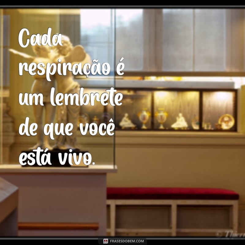 Descubra Inspirações Poderosas: Frases Carpe Diem para Viver o Momento 