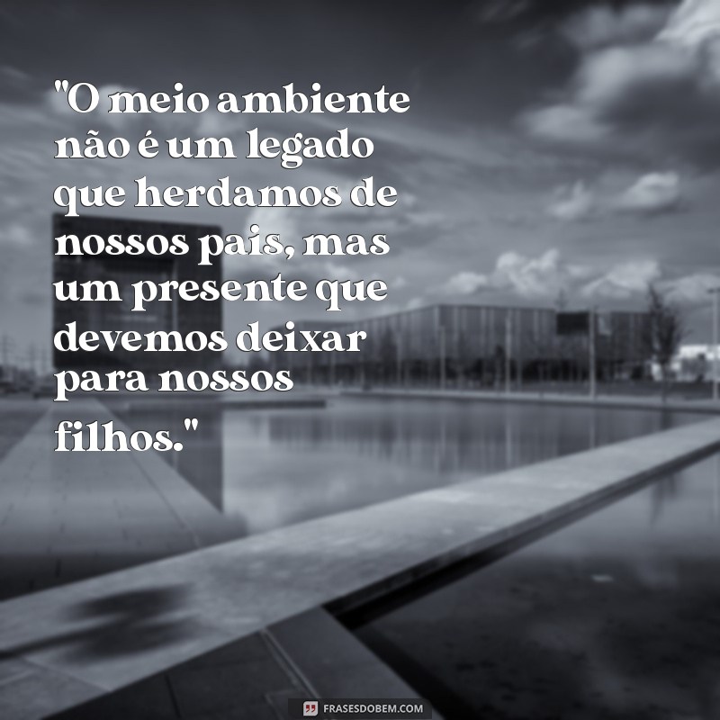 frases do dia do meio ambiente 