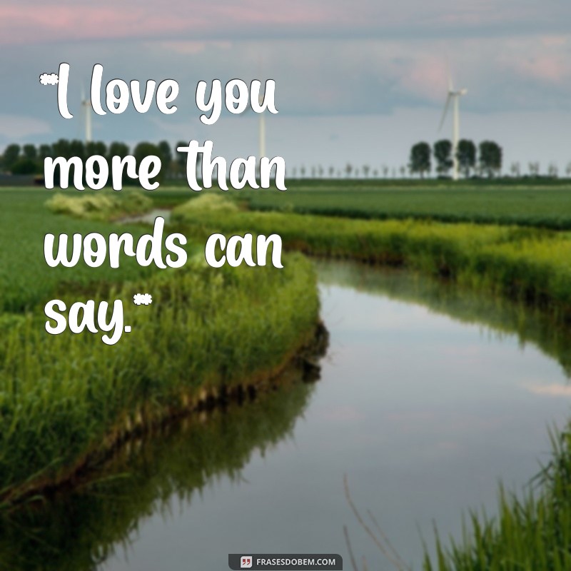 frases de amor em inglês com tradução curtas **I love you more than words can say.**