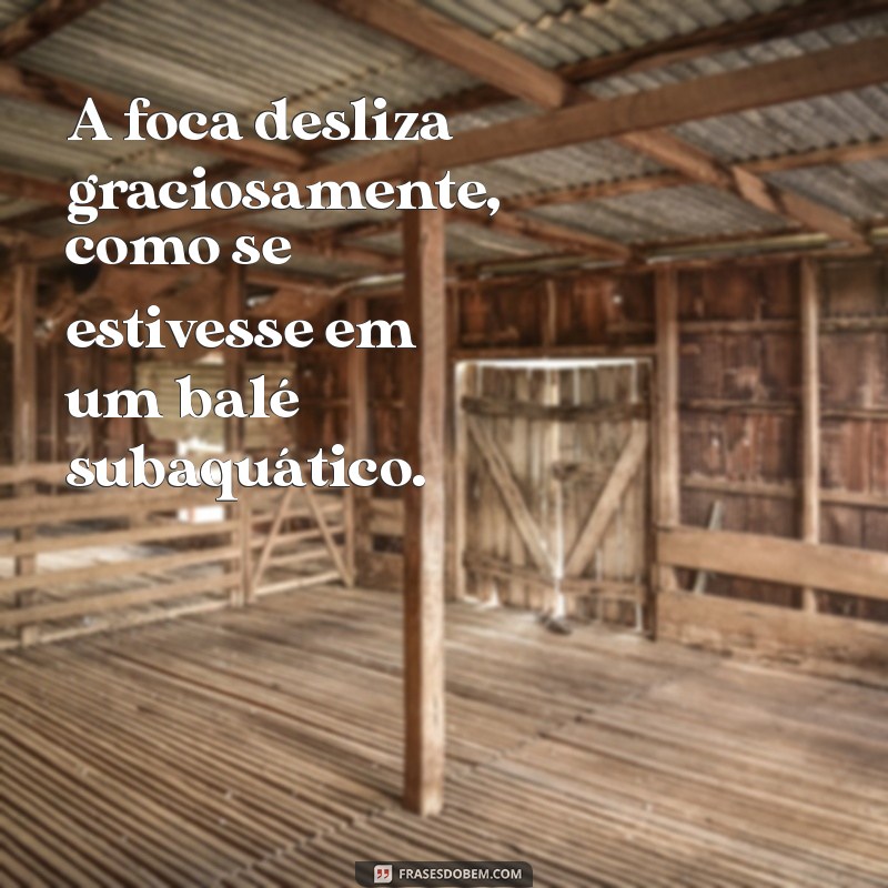 Top 23 Frases Engraçadas e Inspiradoras com a Palavra Foca 