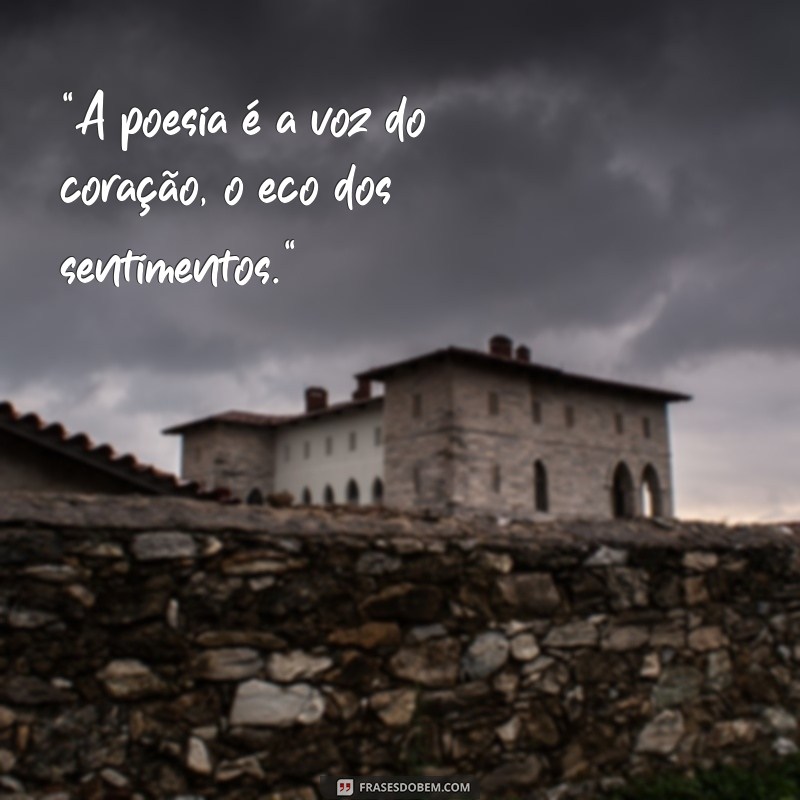 frases braulio bessa frases 