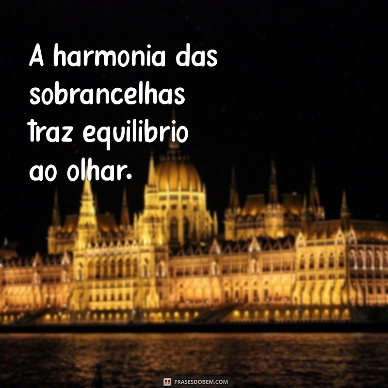 Frases Inspiradoras para Valorizar suas Sobrancelhas 