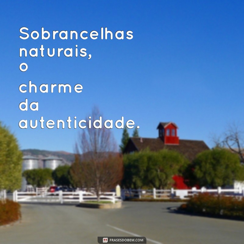 Frases Inspiradoras para Valorizar suas Sobrancelhas 