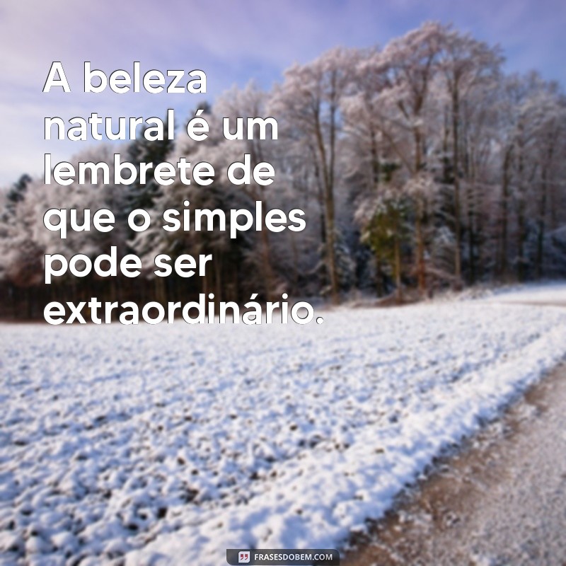 a beleza natural frases A beleza natural é um lembrete de que o simples pode ser extraordinário.