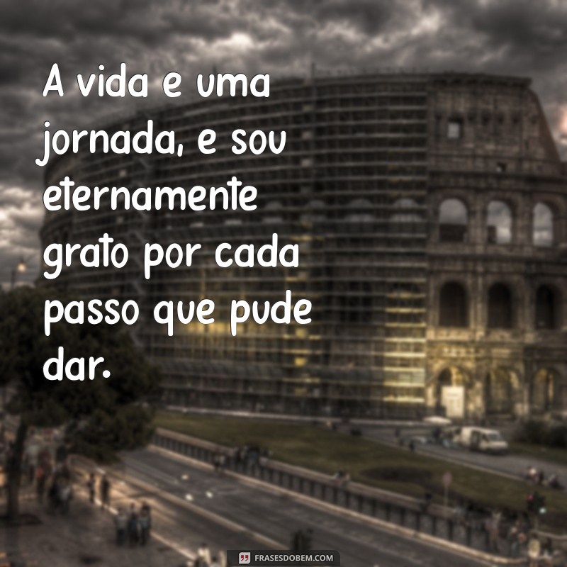 Frases Inspiradoras de Gratidão para Celebrar Mais Um Ano de Vida 