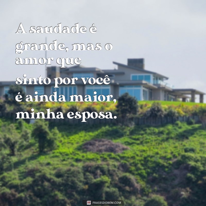 Descubra as mais emocionantes frases de quem partiu e deixou saudades 