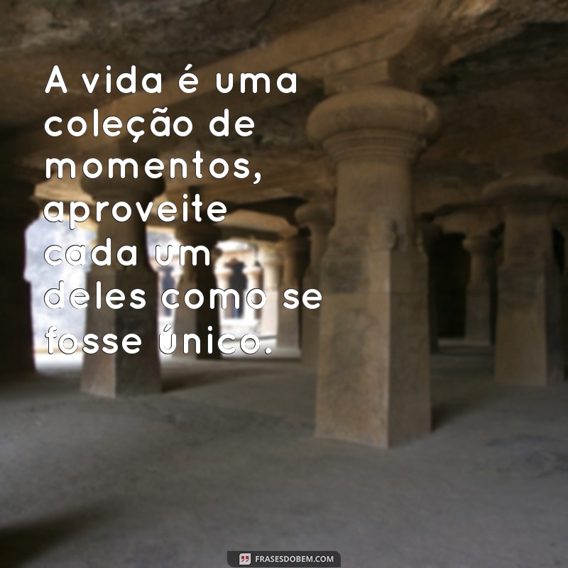 frases a vida A vida é uma coleção de momentos, aproveite cada um deles como se fosse único.