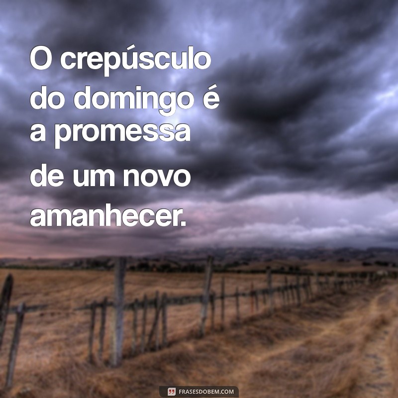 Como Aproveitar o Finalzinho de Domingo para Renovar suas Energias 