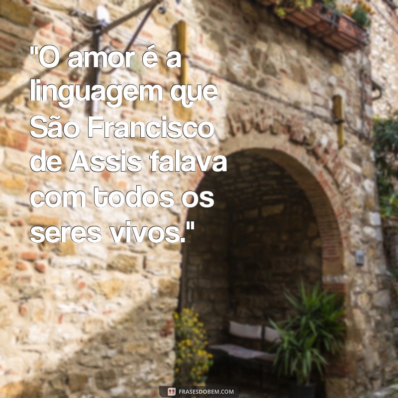 dia de são francisco de assis frases 