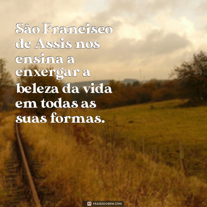 Conheça as mais inspiradoras frases do Dia de São Francisco de Assis 