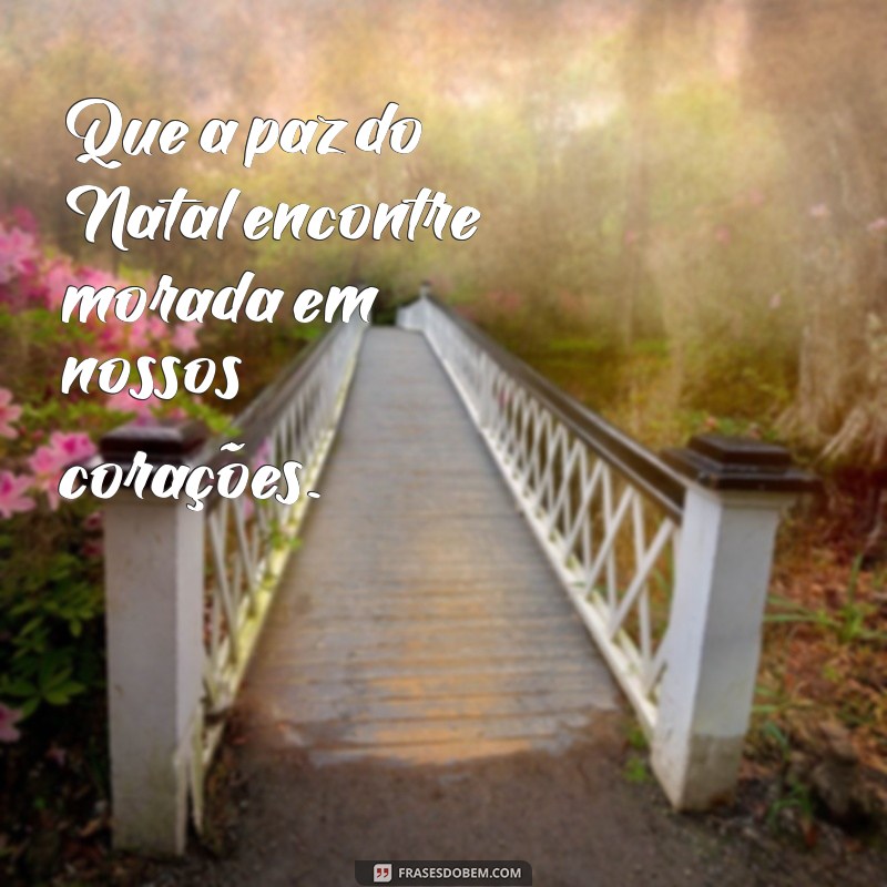 Frases Inspiradoras para Celebrar o Mês de Dezembro 