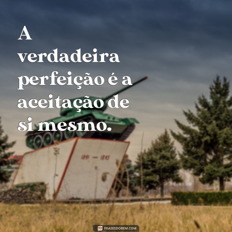 Descubra as melhores frases de perfeição para arrasar no seu status! 