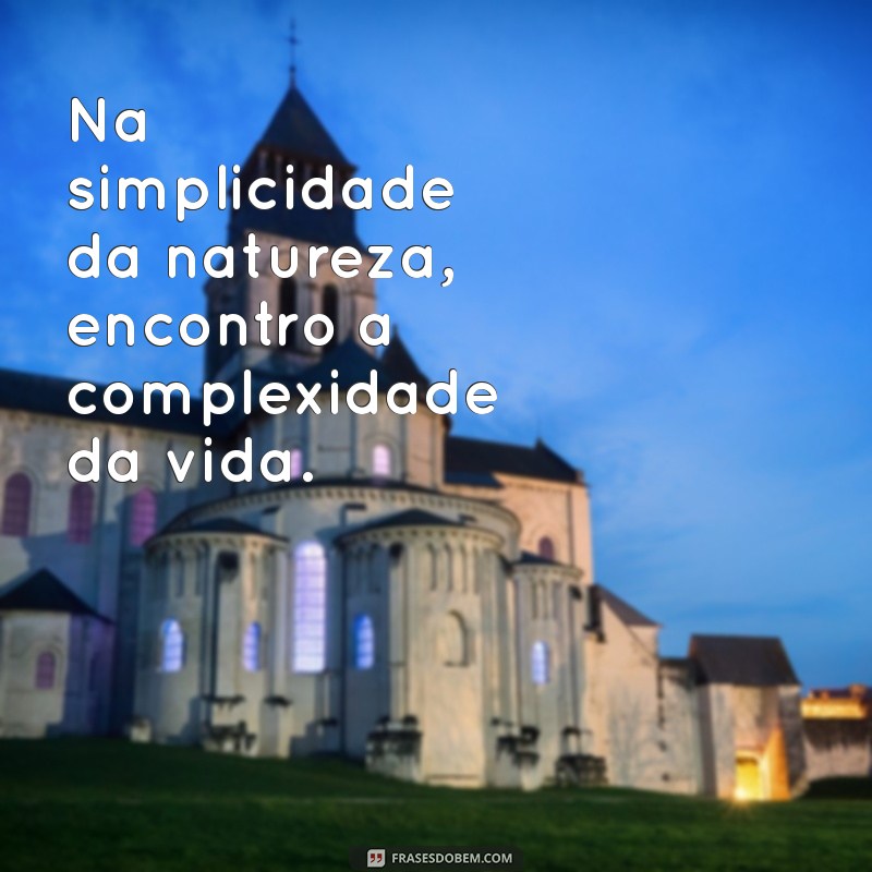 Frases Inspiradoras para Legendar Suas Fotos na Natureza 