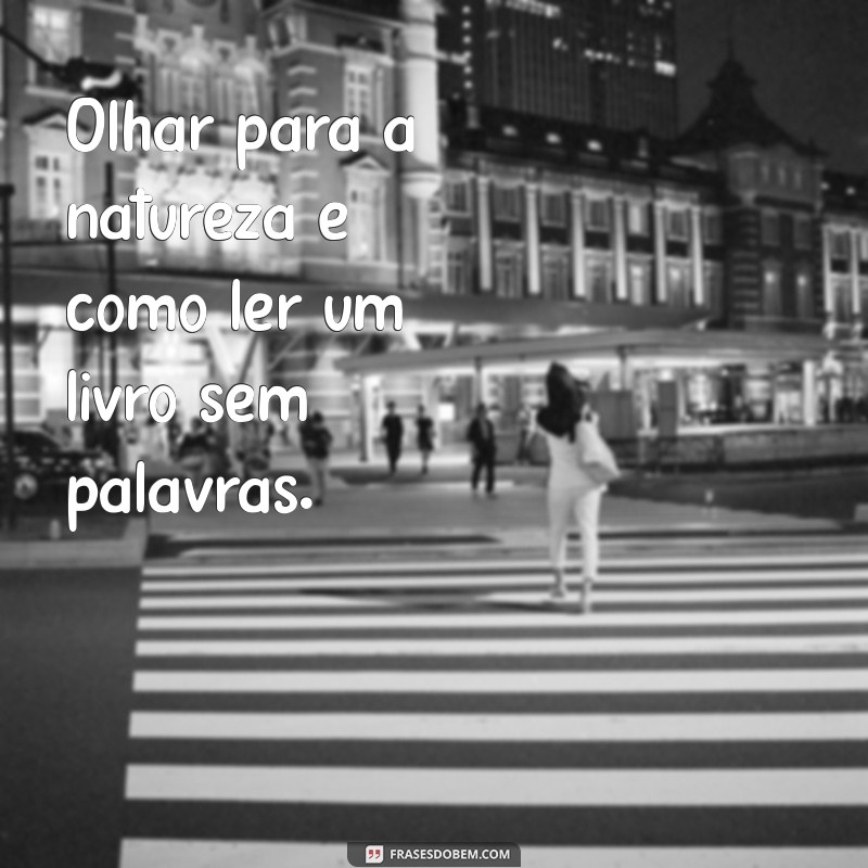 Frases Inspiradoras para Legendar Suas Fotos na Natureza 