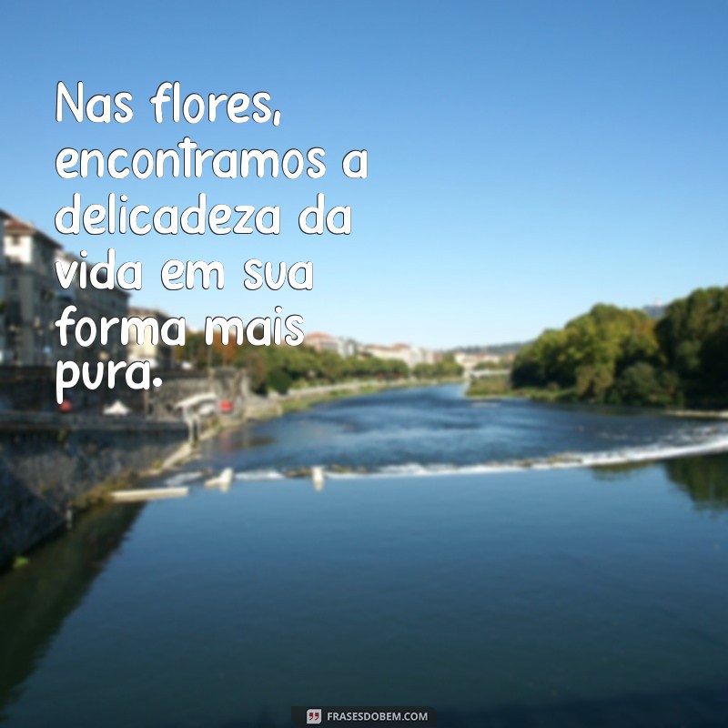 As Melhores Frases para Acompanhar Suas Fotos de Paisagens 