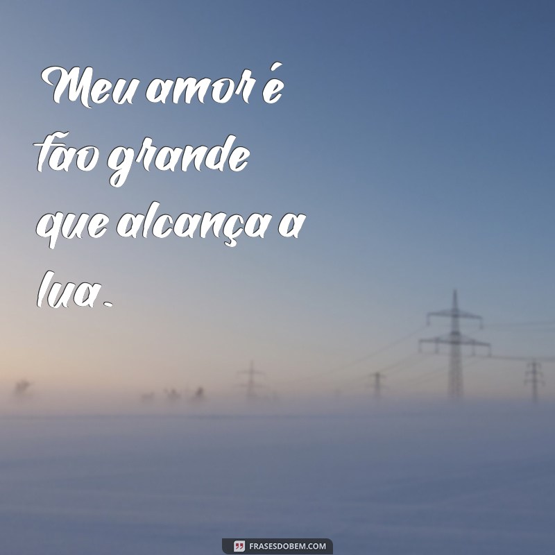 Declarações de Amor: Eu Te Amo Daqui Até a Lua - Frases Inspiradoras 