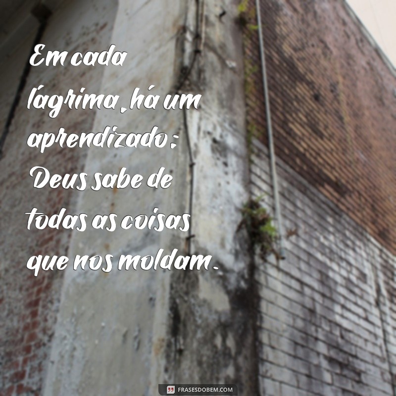 Frases Inspiradoras: Deus Sabe de Todas as Coisas 