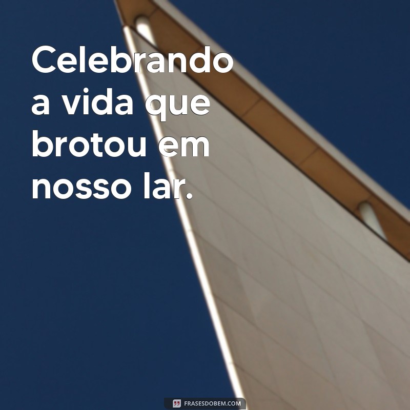 bodas de maternidade Celebrando a vida que brotou em nosso lar.