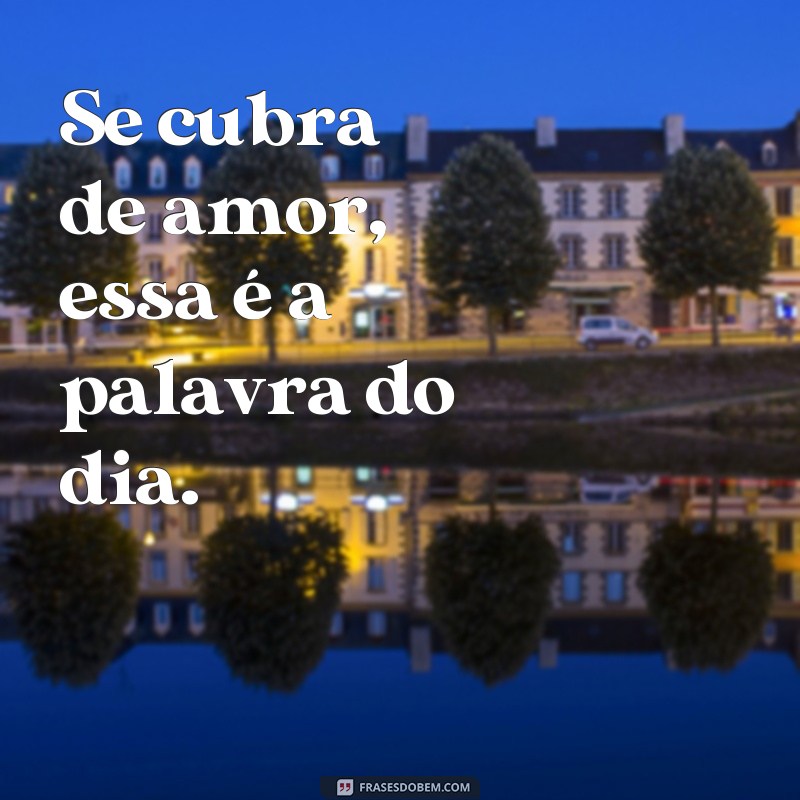 Descubra as melhores frases do dia para atualizar seu status e inspirar seus seguidores! 