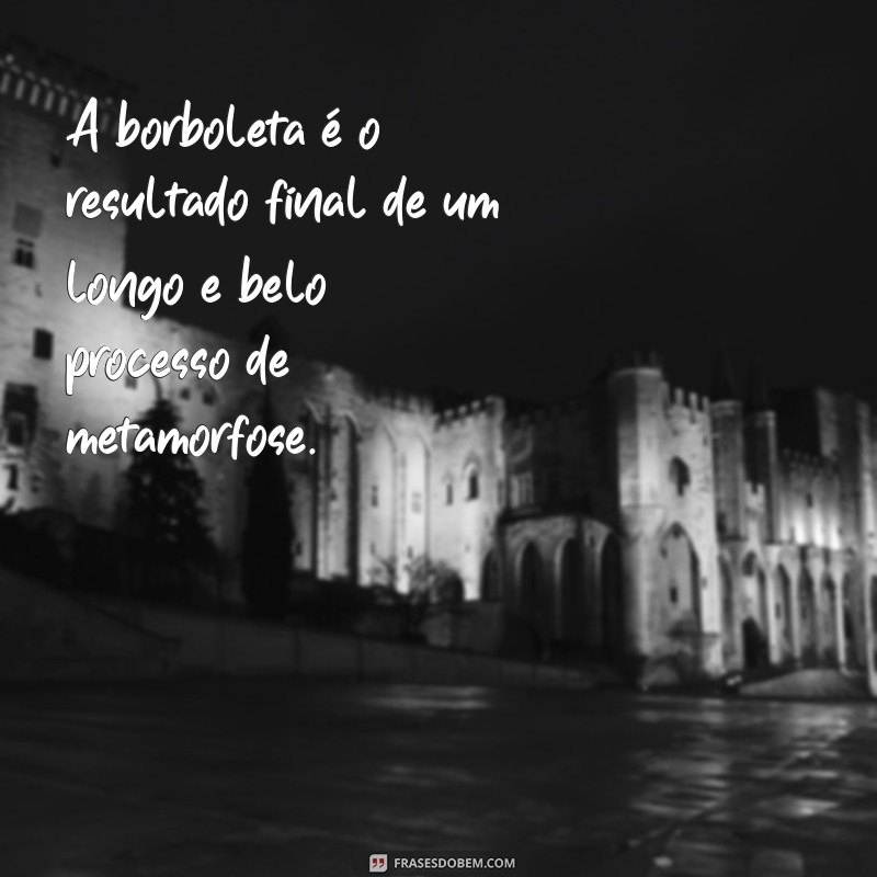 Encante-se com as mais belas frases sobre borboletas para acompanhar suas fotos 