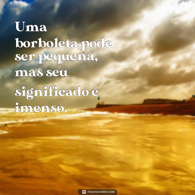 Encante-se com as mais belas frases sobre borboletas para acompanhar suas fotos 