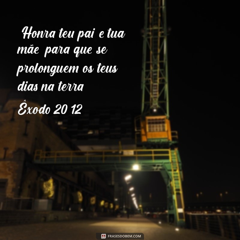 frases biblica dia dos pais 