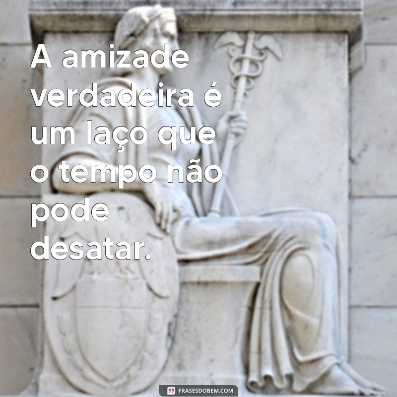 As Melhores Frases do Melim para Inspirar e Encantar 