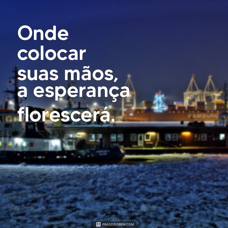 onde colocar suas mãos prosperará Onde colocar suas mãos, a esperança florescerá.