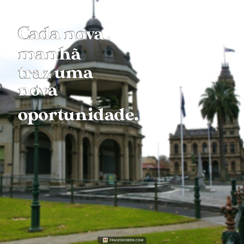 As Melhores Frases Incríveis para Acompanhar Suas Fotos 