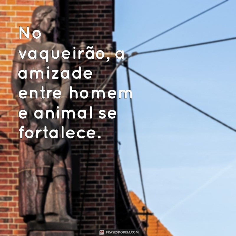 Frases Inspiradoras sobre Vaquejada e a Beleza dos Cavalos 