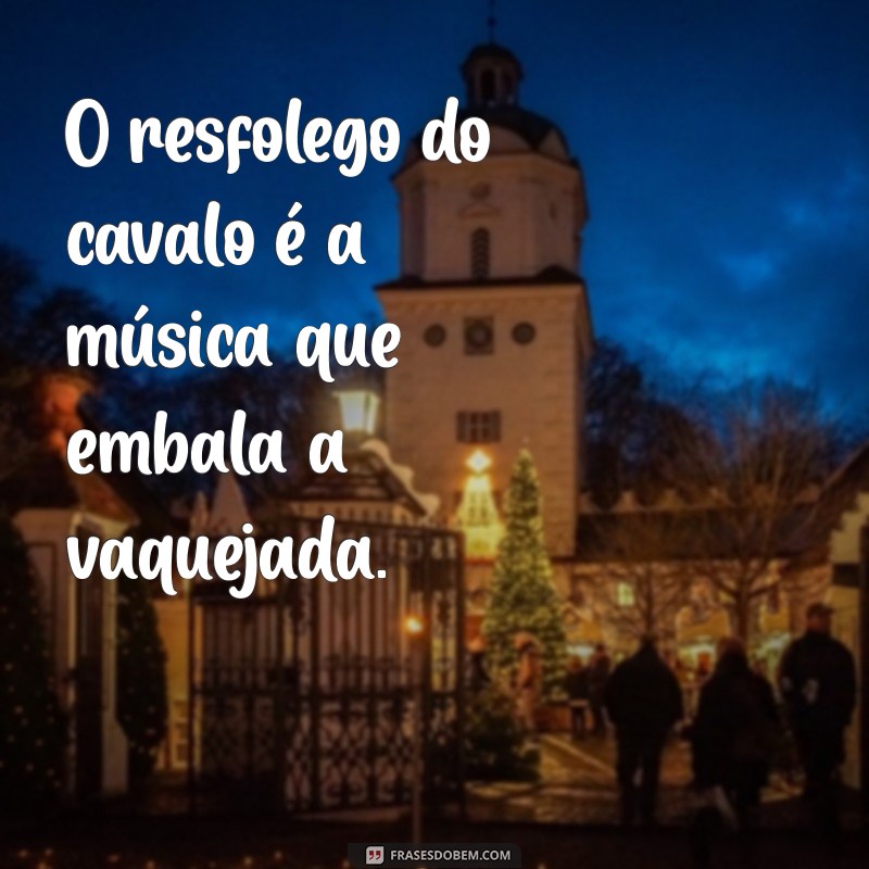 Frases Inspiradoras sobre Vaquejada e a Beleza dos Cavalos 