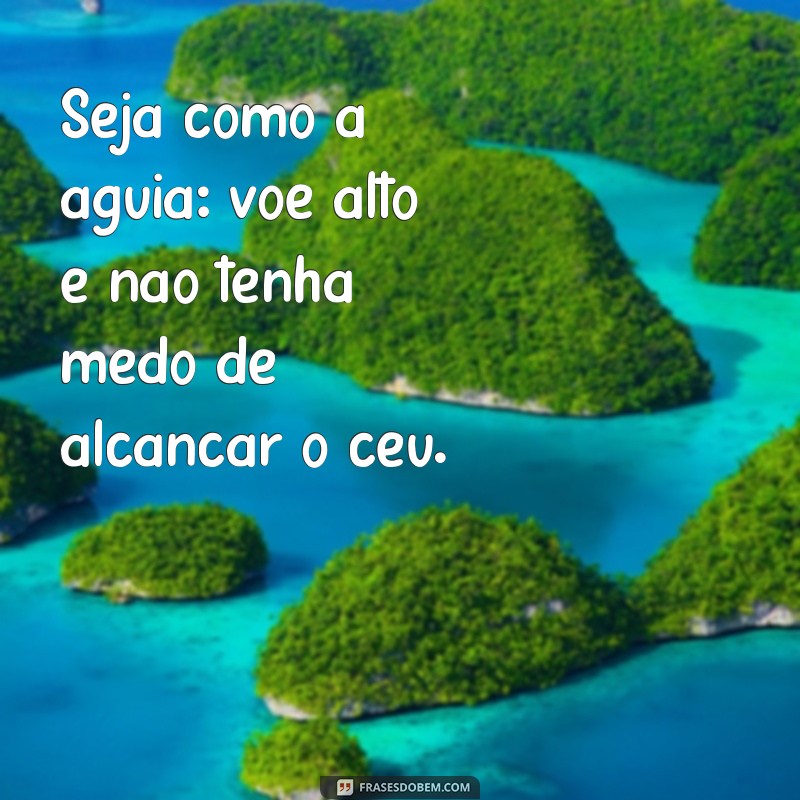 seja como a aguia Seja como a águia: voe alto e não tenha medo de alcançar o céu.