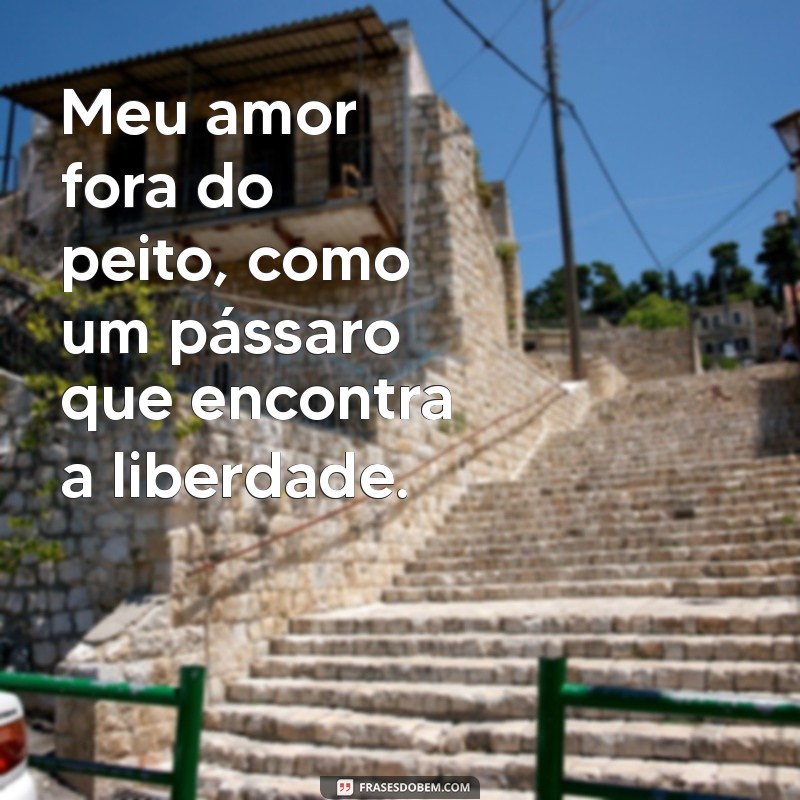 meu amor fora do peito Meu amor fora do peito, como um pássaro que encontra a liberdade.