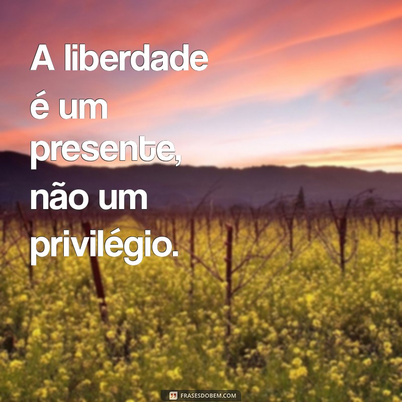 Frases Curtas de Liberdade: Inspirações para Viver Sem Amarras 