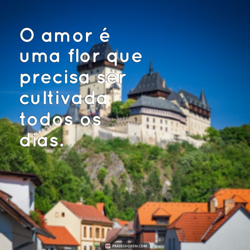 Encante seus seguidores com as melhores frases de lindas para status 