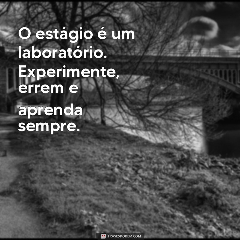 24 Frases Inspiradoras para Motivar Estagiários em Sua Jornada Profissional 