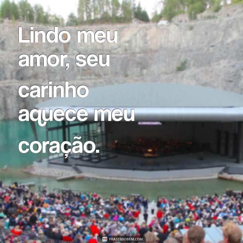 Frases Românticas: Declare Seu Amor com Lindo Meu Amor 