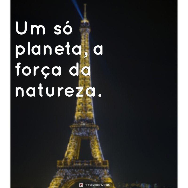 Um Só Planeta: A Importância da Sustentabilidade e da Preservação Ambiental 