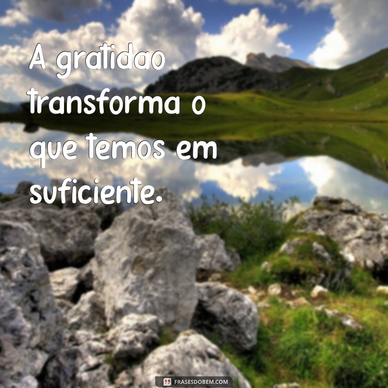 mensagens sobre gratidão A gratidão transforma o que temos em suficiente.