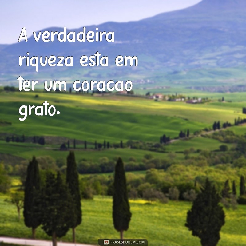 Mensagens de Gratidão: 29 Frases Inspiradoras para Agradecer 