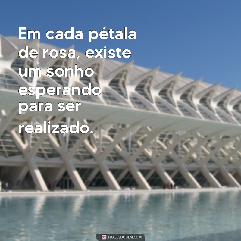 50 Frases Inspiradoras com a Palavra Rosa para Encantar seu Dia 