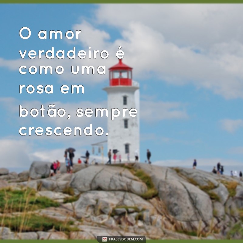 50 Frases Inspiradoras com a Palavra Rosa para Encantar seu Dia 