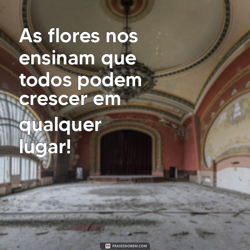 Frases Inspiradoras sobre Meio Ambiente para Educadores da Educação Infantil 