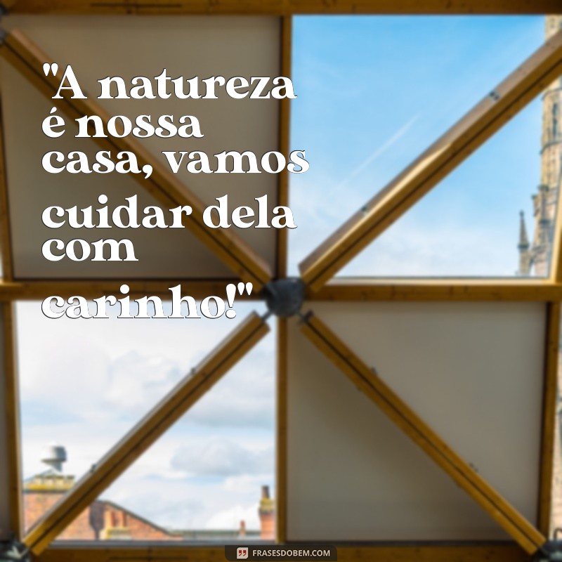 frases sobre meio ambiente para educação infantil 