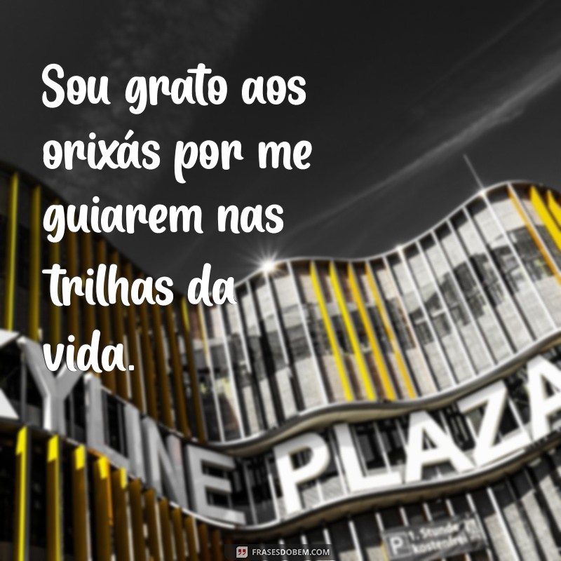 gratidão aos orixas Sou grato aos orixás por me guiarem nas trilhas da vida.